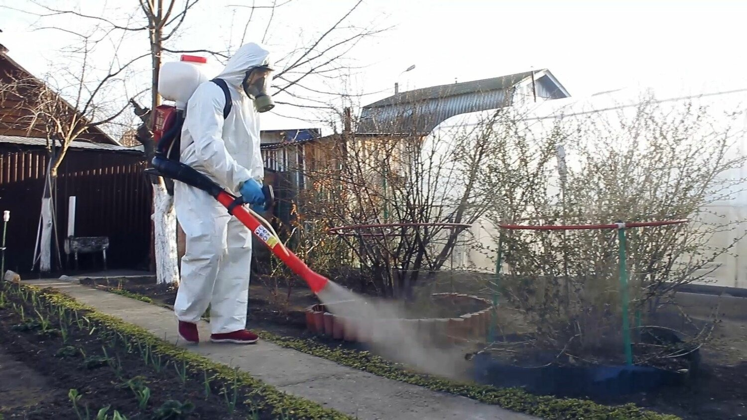 ФОТО Уничтожение муравьёв в Кокошкино