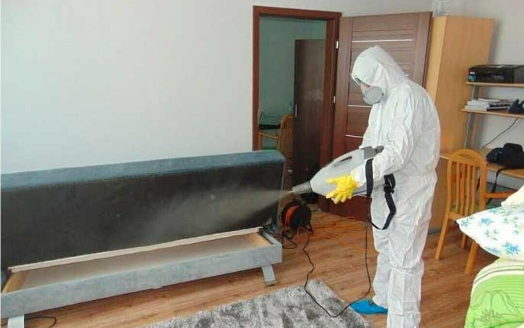 ФОТО Уничтожение блох в Кокошкино