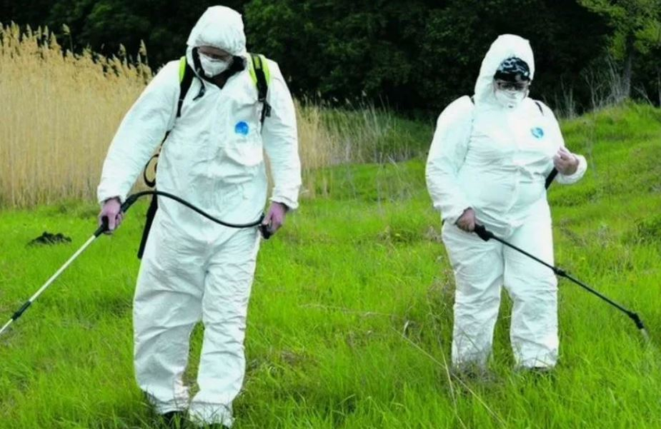 ФОТО Обработка от клещей в Кокошкино