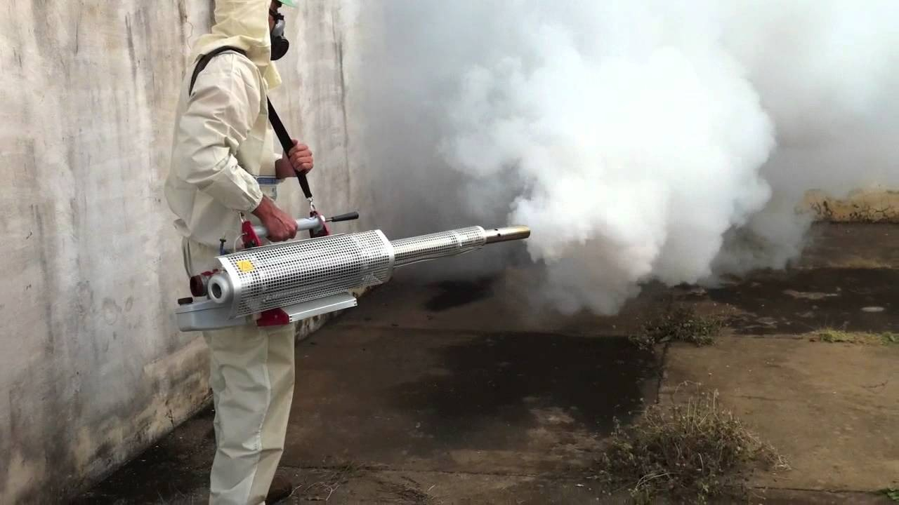 ФОТО Уничтожение мух в Кокошкино