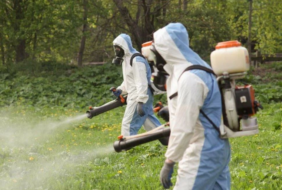 ФОТО Что такое дезинсекция в Кокошкино? | подробно