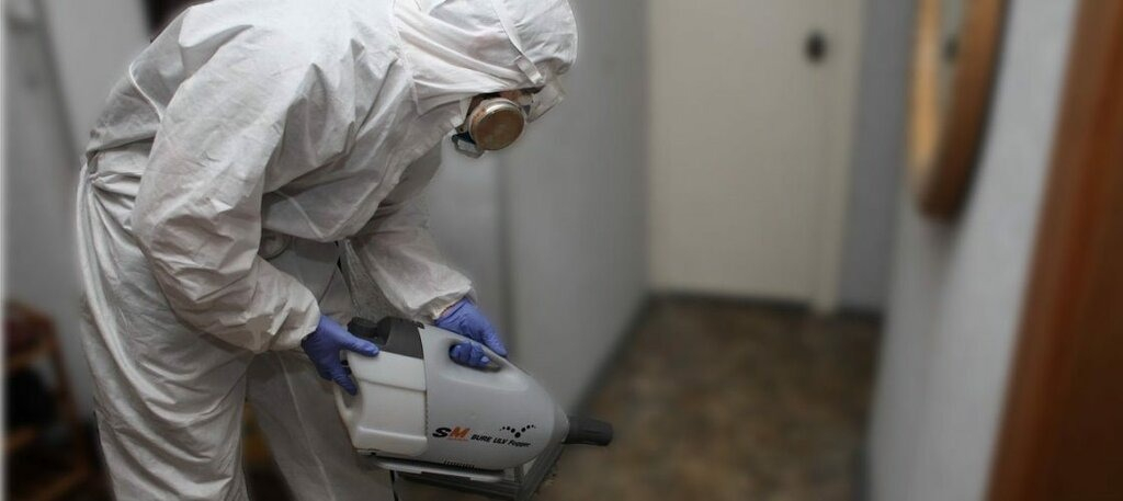 ФОТО Остаются ли следы после обработки квартиры от насекомых в Кокошкино? | подробно