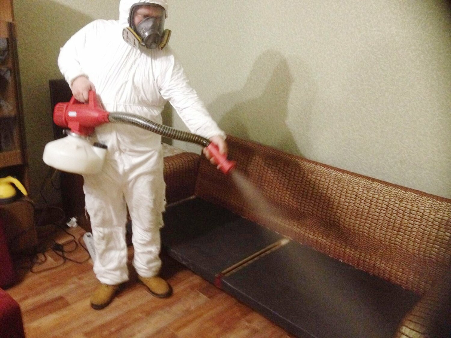 ФОТО Когда можно вернуться в помещение после дезинсекции в Кокошкино? | подробно